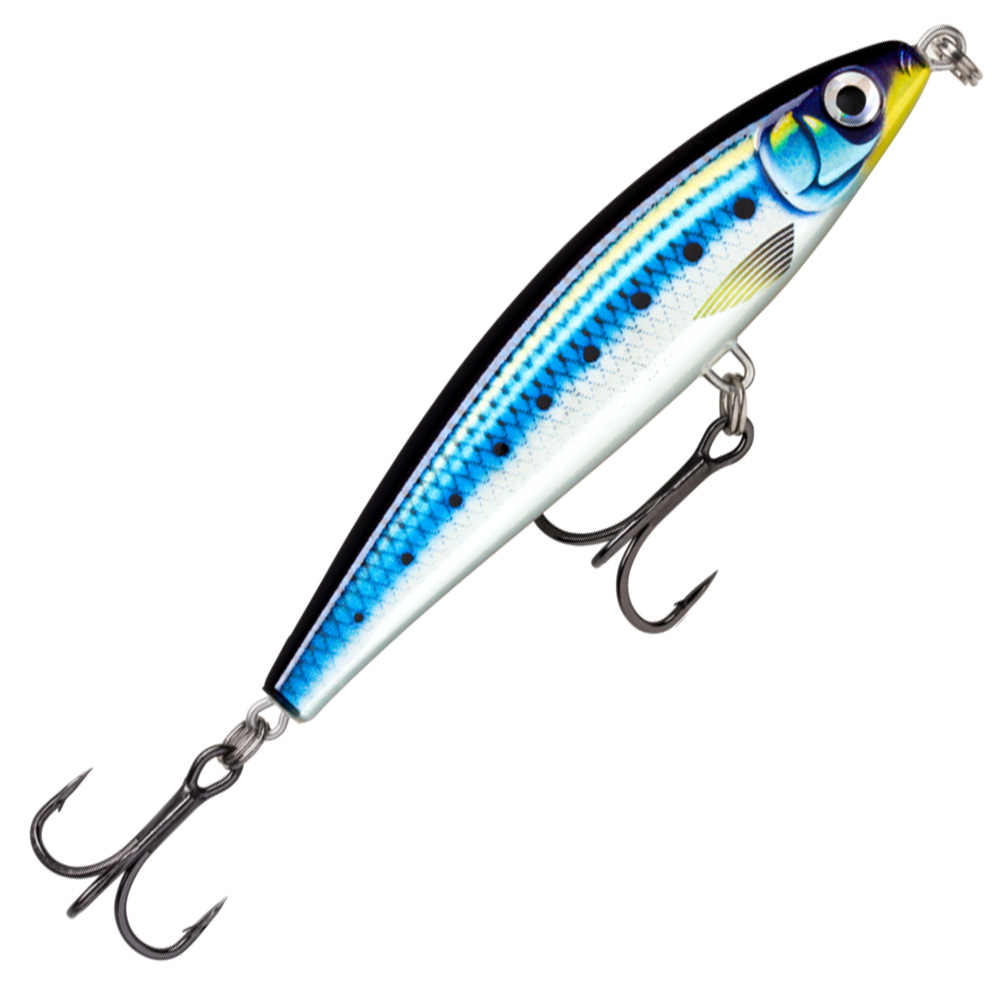 HD Blue Sardine