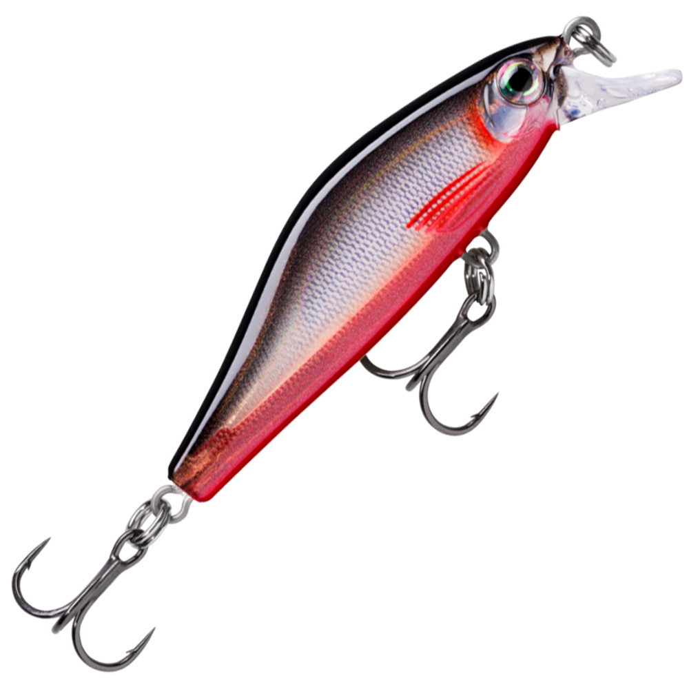 Red Belly Shad